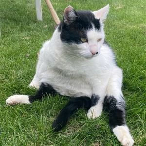 Meet your Posher, Char